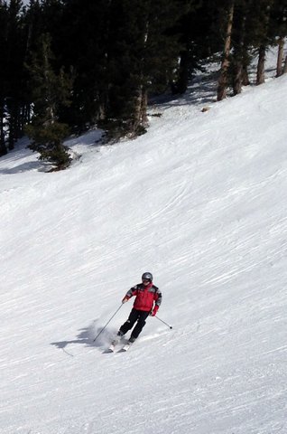 John Hays skiing