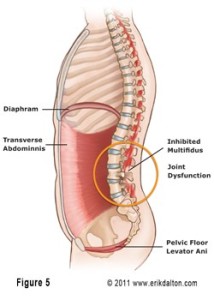 Core diagram