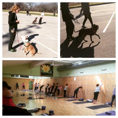 Dogs Out Loud Fundraiser Yoga Class