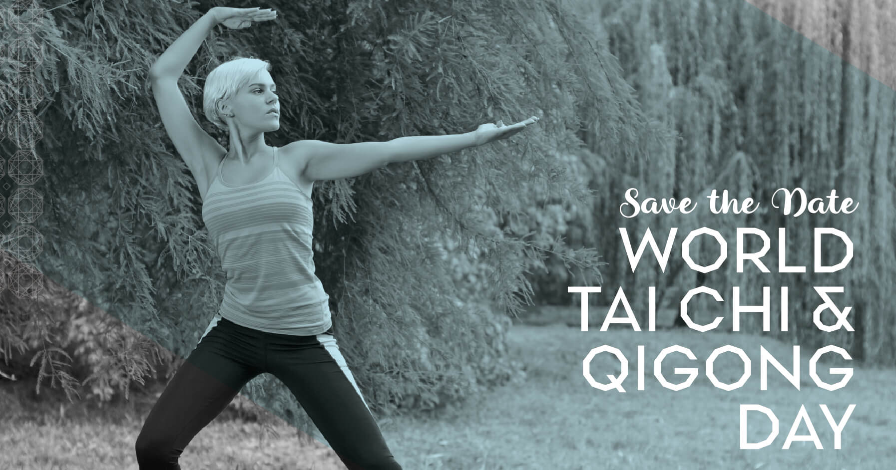 World Tai Chi & Qi Gong Day Castle Hill Fitness