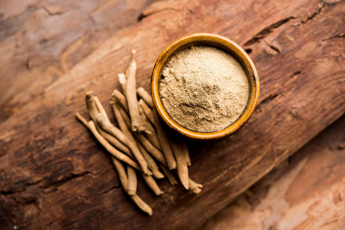 Adaptogens: Why Do We Love Them?