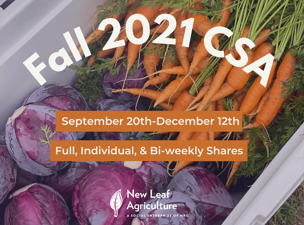 CSA Pick-Ups Start September 20