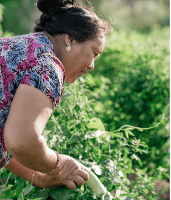 New Leaf CSA Farmer Picking Veggies