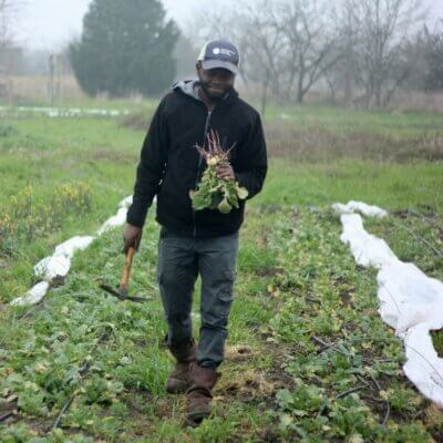 New Leaf CSA Farmer in the field with Radishes