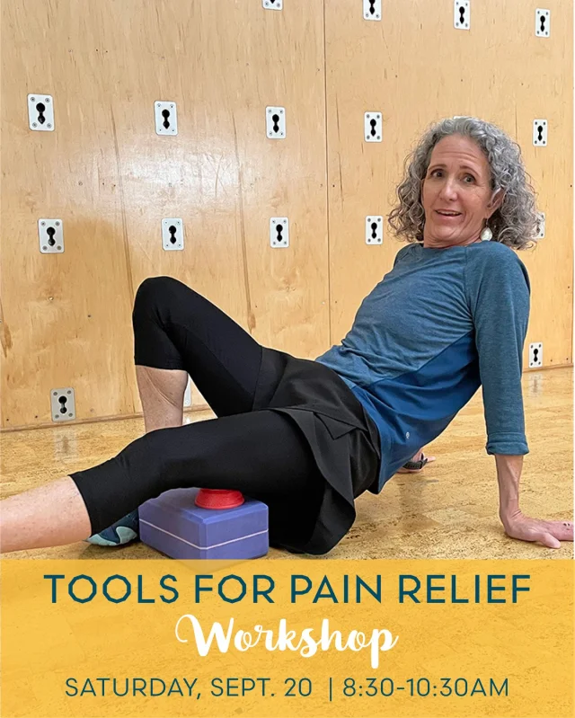Ready to say goodbye to the aches and pains holding you back? Rachael Bercey (@rachaelberceystudio) has 𝐓𝐨𝐨𝐥𝐬 𝐟𝐨𝐫 𝐏𝐚𝐢𝐧 𝐑𝐞𝐥𝐢𝐞𝐟! Join her for a 90 minute workshop where you’ll learn simple tools to reduce or eliminate muscle or joint pain in your back, head/neck, hands, knees, or feet. Techniques will include stretches and self-massage with props like the Acumobility Massage ball.⁠
⁠
🗓 𝗦𝗮𝘁𝘂𝗿𝗱𝗮𝘆, 𝗦𝗲𝗽𝘁𝗲𝗺𝗯𝗲𝗿 𝟮𝟬 𝟴:𝟯𝟬-𝟭𝟬𝗮𝗺⁠
⁠
Sign up through the link in bio, and live your best pain-free life!
