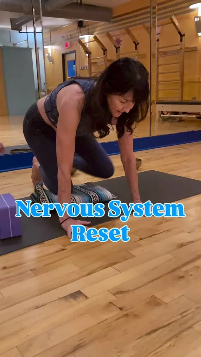 Feeling like stress has become a constant companion, disrupting your balance and well-being? Spend an afternoon with @letialvarezyoga for a 𝐍𝐞𝐫𝐯𝐨𝐮𝐬 𝐒𝐲𝐬𝐭𝐞𝐦 𝐑𝐞𝐬𝐞𝐭 workshop to replenish your energy and reconnect with your well-being!  You’ll explore breathing techniques, somatic release, and guided meditation through Yoga Nidra closing with a relaxing Sound Bath. Find out more and sign up through the link in bio.  🗓 𝚂𝚞𝚗𝚍𝚊𝚢, 𝙳𝚎𝚌𝚎𝚖𝚋𝚎𝚛 𝟽, 𝟺:𝟹𝟶𝚙𝚖 - 𝟼𝚙𝚖  #chfitness #chfitfam #castlehillfitness #atx #chfitnessfam #atxgym #chfit #atxfitness #austinfitness #atxfitnesscommunity #atxyogacommunity #atxyogateacher #atxyoga #austinyogis #austinyogi #atxsoundhealing #nervoussystemhealing