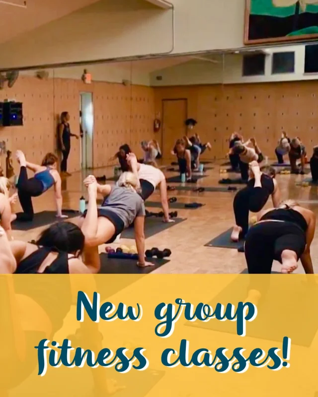 New Year, New Classes!  We are starting 2026 with a 𝒻𝓇𝑒𝓈𝒽 group fitness schedule, which includes the addition of:  ✨ 6:30am workouts for you morning birds
✨ More Yoga Sculpt, Cycle, and Total Body Build
✨ The return of Keith to our weekly schedule
✨ An expanded selection of 30-minute options and budget-friendly Community Classes!  Swipe ➡️ to see what’s on deck, and browse January’s full schedule at the link in bio!  #chfitness #chfitfam #castlehillfitness #atx #atxgyms #atxgym #austingym #austinfitness #austinfitnesscommunity #atxfitness #atxfitnesscommunity #fitatx